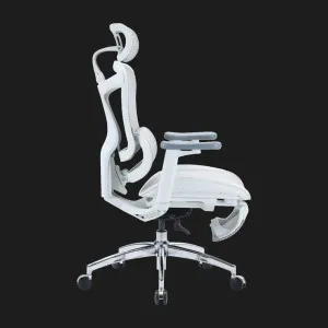 Крісло офісне Sihoo DORO C300L Mesh (White) with Footrest (DORO-C300L-A3-102-JT) (UA) в Бродах