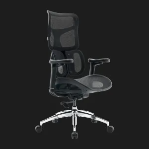Крісло офісне Sihoo DORO S100 Mesh (Black) (S100-M301) (UA) в Бродах