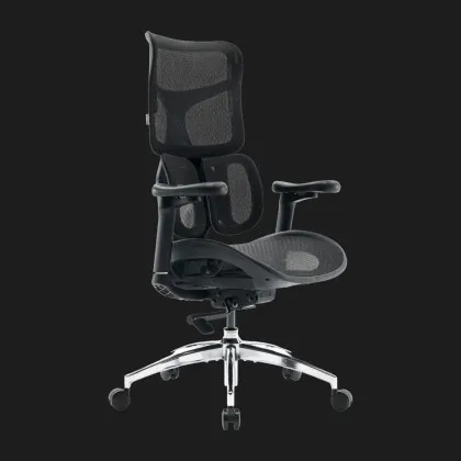 Крісло офісне Sihoo DORO S100 Mesh (Black) (S100-M301) (UA) у Запоріжжі