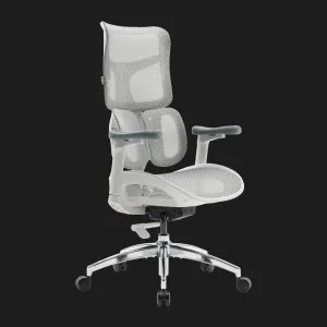 Крісло офісне Sihoo DORO S100 Mesh (White) (S100-M302) (UA) в Бродах