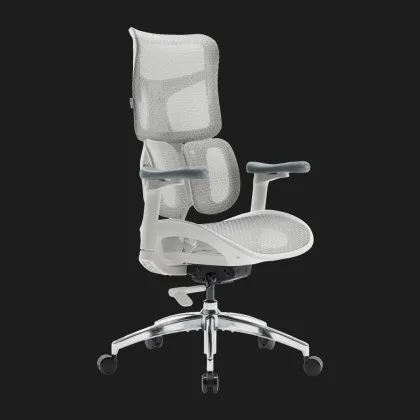 Крісло офісне Sihoo DORO S100 Mesh (White) (S100-M302) (UA) у Запоріжжі