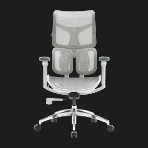 Крісло офісне Sihoo DORO S100 Mesh (White) (S100-M302) (UA) в Бродах