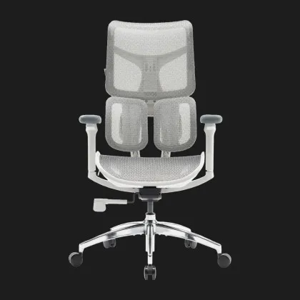 Крісло офісне Sihoo DORO S100 Mesh (White) (S100-M302) (UA) у Запоріжжі