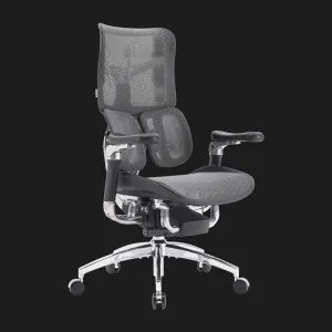 Крісло офісне Sihoo DORO S300 Mesh (Dark Gray) (S300-M201) (UA) в Бродах