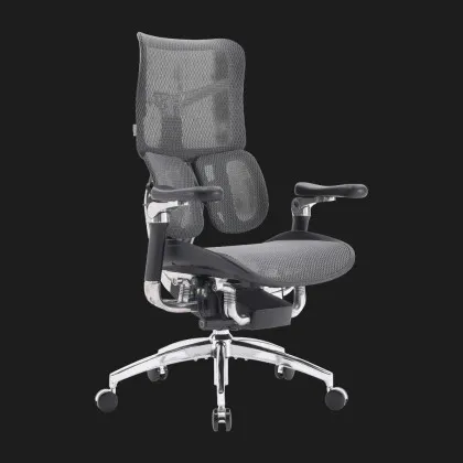Крісло офісне Sihoo DORO S300 Mesh (Dark Gray) (S300-M201) (UA) у Запоріжжі