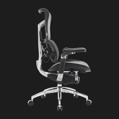 Крісло офісне Sihoo DORO S300 Mesh (Dark Gray) (S300-M201) (UA) у Запоріжжі