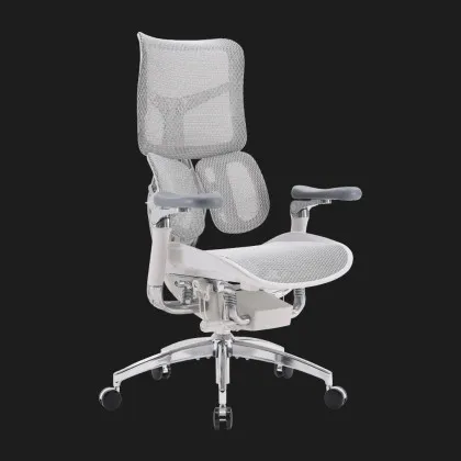 Крісло офісне Sihoo DORO S300 Mesh (Light Gray) (S300-M202) (UA) у Запоріжжі