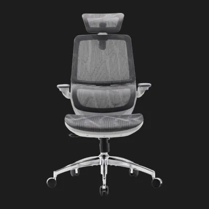 Крісло офісне Sihoo M59AS Mesh (Gray) (M59AS-M301) (UA)