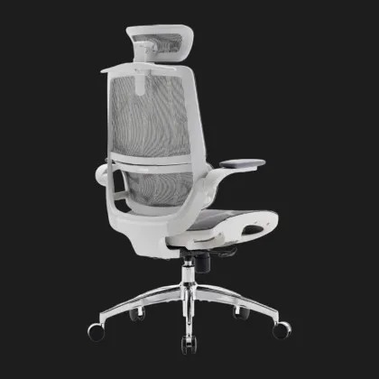Крісло офісне Sihoo M59AS Mesh (Gray) (M59AS-M301) (UA)