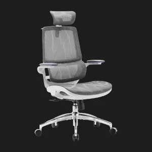 Крісло офісне Sihoo M59AS Mesh (Gray) (M59AS-M301) (UA) в Бродах