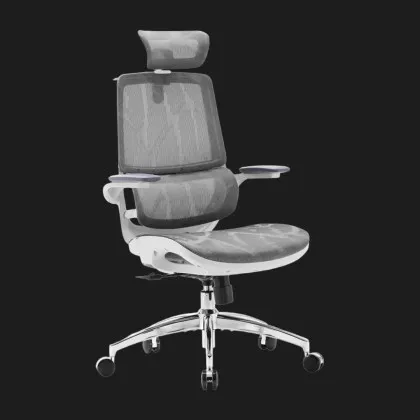 Крісло офісне Sihoo M59AS Mesh (Gray) (M59AS-M301) (UA)