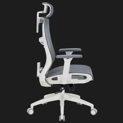 Крісло офісне OfficePro Balance OC620-W-DG-DG (White/Dark Gray) (OC620-W-DG-DG)