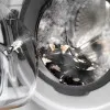 Стиральная машина Electrolux (EWS6426BU) (White)