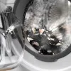 Пральна машина Electrolux (EWS6426WU) (White)