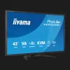 Монитор Iiyama 42.5" IPS 60Hz X4373UHSU-B2 (UA)