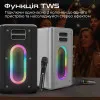 Портативная акустика HiFuture Musicbox (Silver)