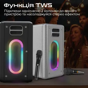 Портативная акустика HiFuture Musicbox (Silver) в Борисполе