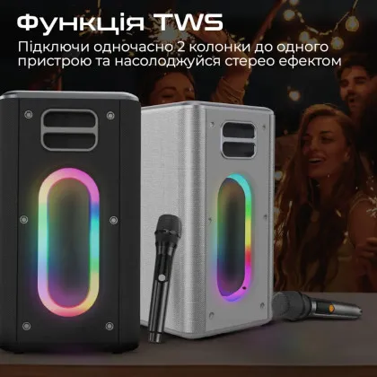 Портативная акустика HiFuture Musicbox (Silver) в Вараше