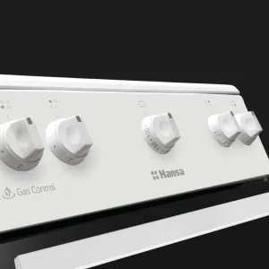 Плита газовая Hansa FCGW510009H (White)
