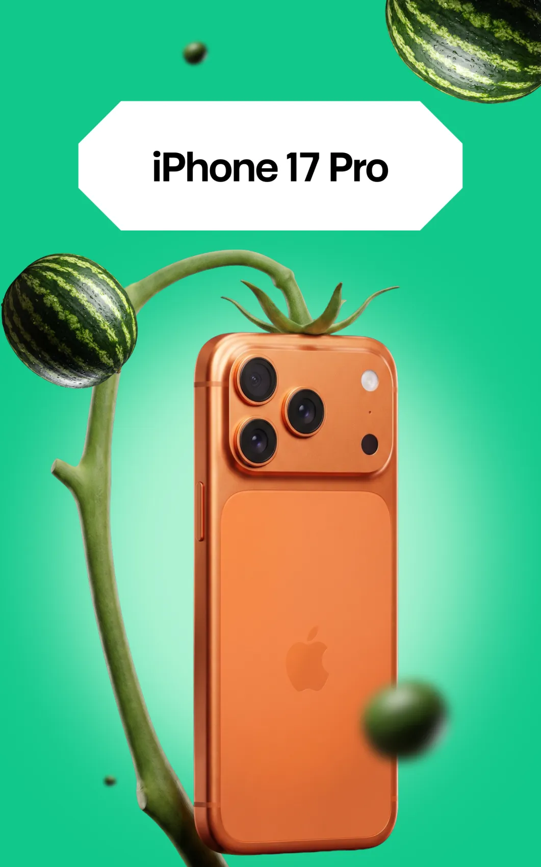 Айфон 17 Про