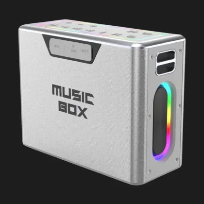 Портативная акустика HiFuture Musicbox (Silver) в Вараше