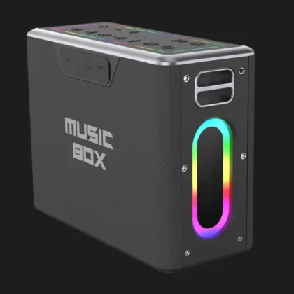 Портативная акустика HiFuture Musicbox (Black) в Вараше