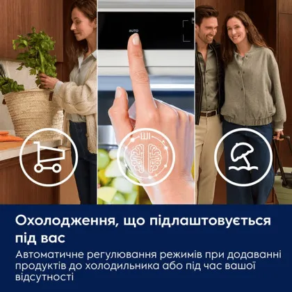 Холодильник вбудований Electrolux (LNA7NE18S) (White)