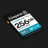 Карта пам'яті Kingston Canvas Go! Plus SDXC 256Gb UHS-1 U3 V30(SDG4/256GB)