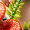 Конструктор LEGO Botanicals Лесные грибы (11505)