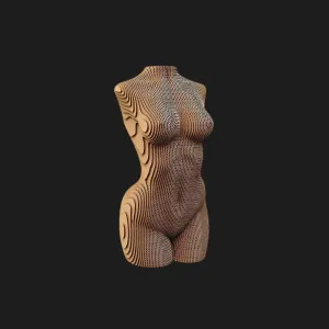 Картонный 3D пазл-конструктор Cartonic Женский торс (Female torso) (CARTTORSW)