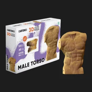 Картонный 3D пазл-конструктор Cartonic Мужской торс (Torso Male) (CARTTORS)