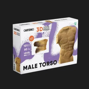 Картонный 3D пазл-конструктор Cartonic Мужской торс (Torso Male) (CARTTORS)