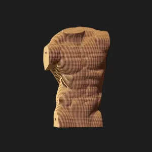 Картонный 3D пазл-конструктор Cartonic Мужской торс (Torso Male) (CARTTORS)