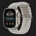 Apple Watch Ultra 4 GPS + LTE 49mm Natural Titanium Case with Translucent Gray Ocean Band (MJAD4)