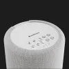 Акустическая система Audio Pro A10 MkII W (Light Gray)