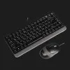Комплект дротовий клавіатура + миша A4Tech F1110 (Grey)