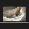 Ноутбук Asus Zenbook A14 14" (Qualcomm Snapdragon X2 Elite/16GB/512GB/Qualcomm Adreno) (UX3407NA-ZB/A14_E0)