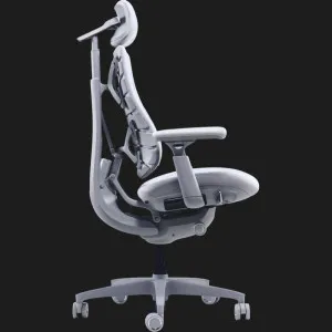 Эргономичное кресло LiberNovo Omni (Space Gray) (CP-GW-0000015-00-00) во Львове