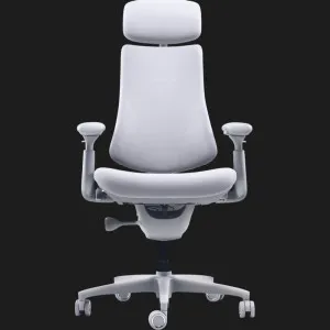 Эргономичное кресло LiberNovo Omni (Space Gray) (CP-GW-0000015-00-00) во Львове