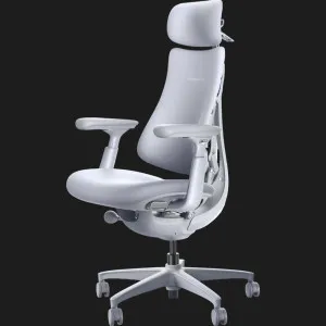 Эргономичное кресло LiberNovo Omni (Space Gray) (CP-GW-0000015-00-00) во Львове