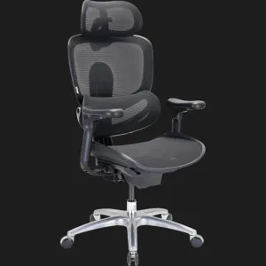 Кресло Sihoo C300 LITE V2 (Black) (C300-LITE-V2-B101) в Берегово