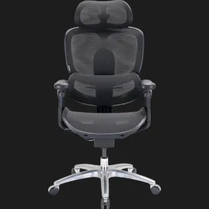 Кресло Sihoo C300 LITE V2 (Black) (C300-LITE-V2-B101) в Берегово