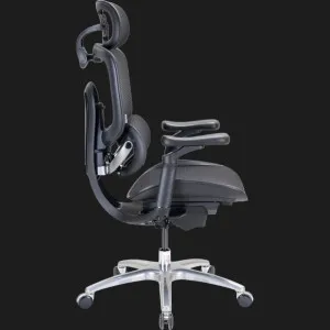 Кресло Sihoo C300 LITE V2 (Black) (C300-LITE-V2-B101) в Берегово