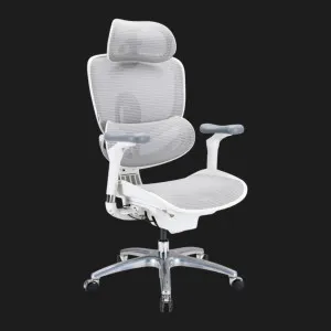 Кресло Sihoo C300 LITE V2 (White) (C300-LITE-V2-B102) в Берегово