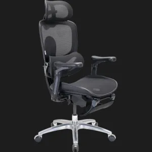 Кресло Sihoo C300 LITE V2 (Black) + подставка для ног (C300-LITE-V2-B101-JT) в Берегово