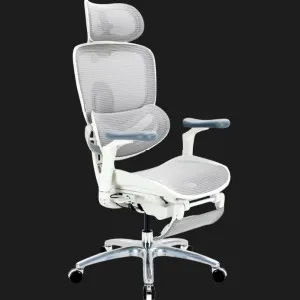 Кресло Sihoo C300 LITE V2 (White) + подставка для ног (C300-LITE-V2-B102-JT) в Берегово
