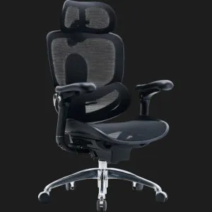 Кресло Sihoo C300 PRO V2 (Black) (C300-PRO-V2-B101) в Берегово