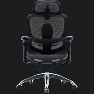 Кресло Sihoo C300 PRO V2 (Black) (C300-PRO-V2-B101) в Берегово