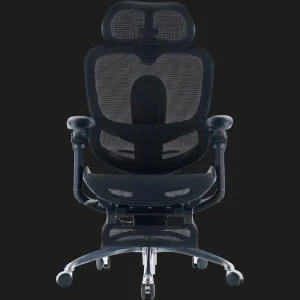 Кресло Sihoo C300 PRO V2 (Black) +подставка для ног (C300-PRO-V2-B101-JT) в Берегово