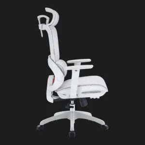 Кресло эргономичное Sihoo (B100-B102) (Mesh White) в Берегово